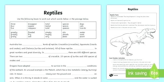 Animal Classification Worksheets Classification Worksheets Middle Animal Classification Worksheets Classification Worksheets Middle