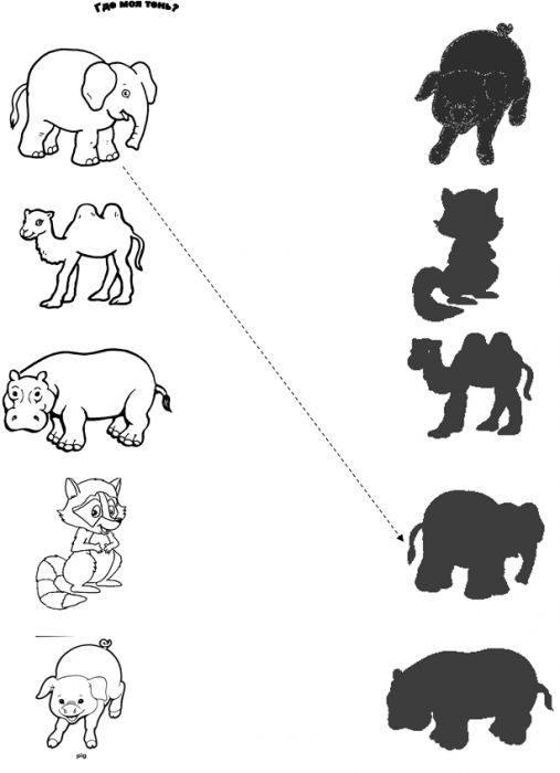 Animal Shadow Match Worksheets (9)
