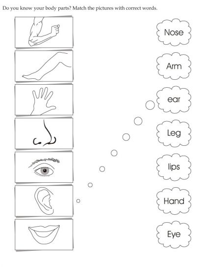 Download English Activity Worksheet Match The Pictures With