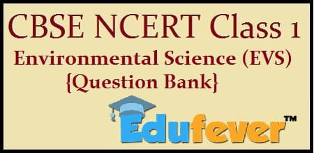 Download Cbse Class 1 Evs Question Bank In Pdf  Get Free Pdf