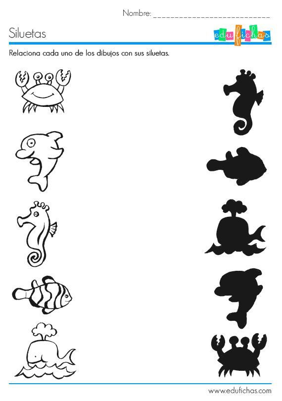 Sea Animal Shadow Worksheet