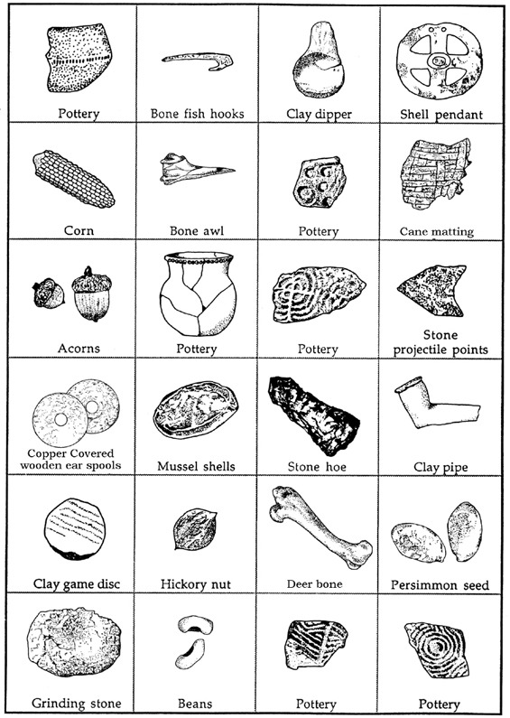Classification Of Organisms Worksheet Classification Of Living
