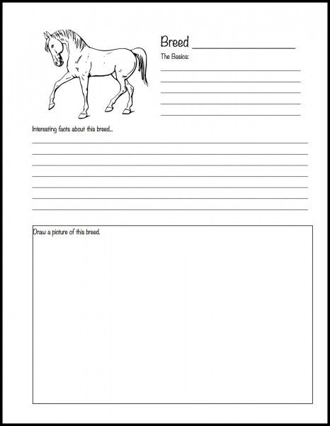 Ultimate Homeschool List For Horse Lovers