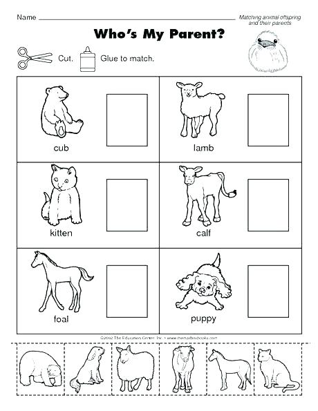 Farm Animals Worksheets Kindergarten Gallery Super Teacher Wild