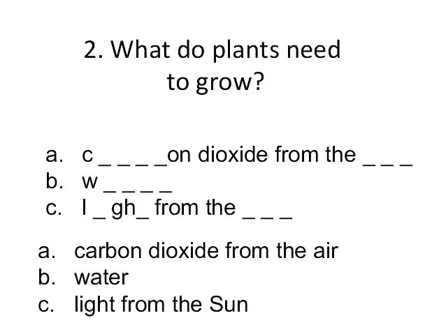 First Grade Science Worksheets On Plants Science Plants Worksheets