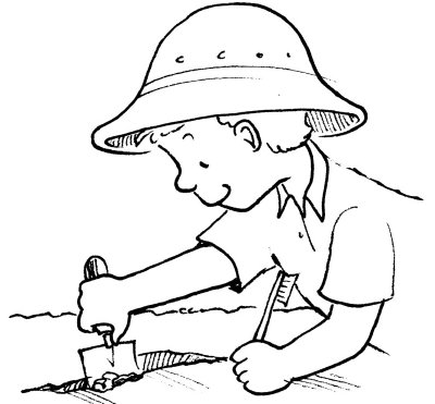 Fossil Activities For Kids