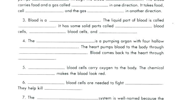 Free Circulatory System Worksheets Kindergarten Science Printable