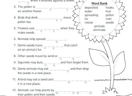 Classifying Plants Worksheet Worksheets Plant Classification Grade Classifying Plants Worksheet Worksheets Plant Classification Grade