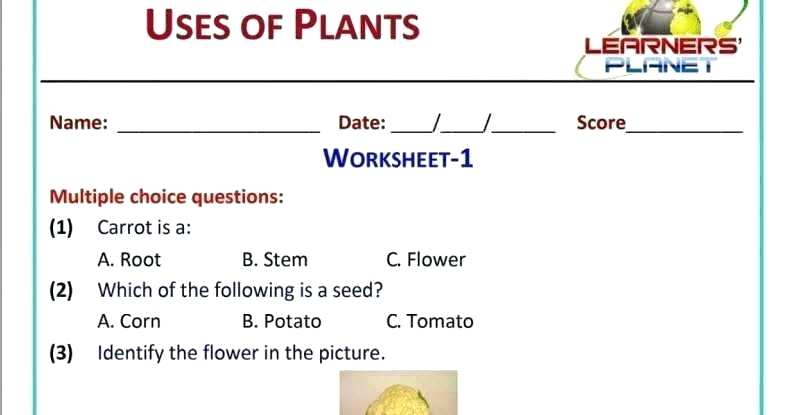 Grade Types Of Plants Worksheets For Grade 3 Plants Worksheets For