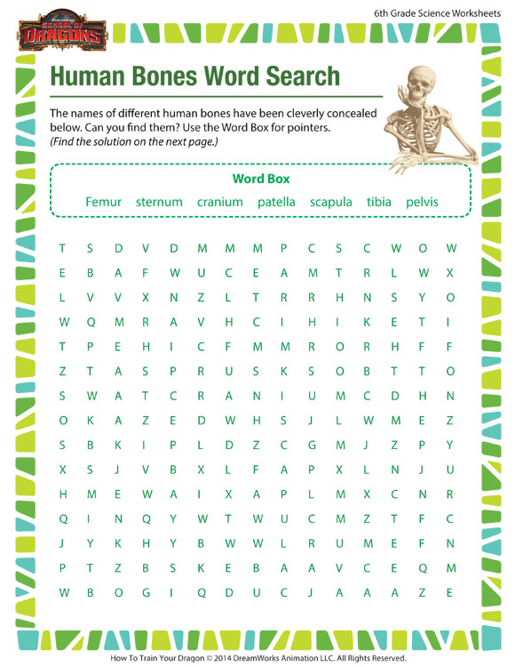 Human Bones Word Search View â Worksheet 6th Graders â Sod
