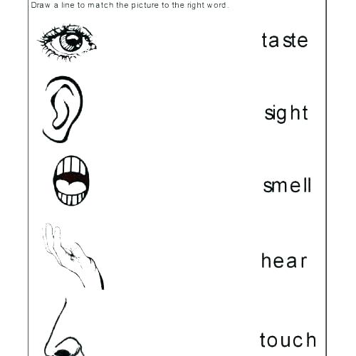 Kg1 Worksheets Pdf