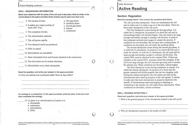 Worksheet Mitosis Worksheet And Diagram Identification Answers Free