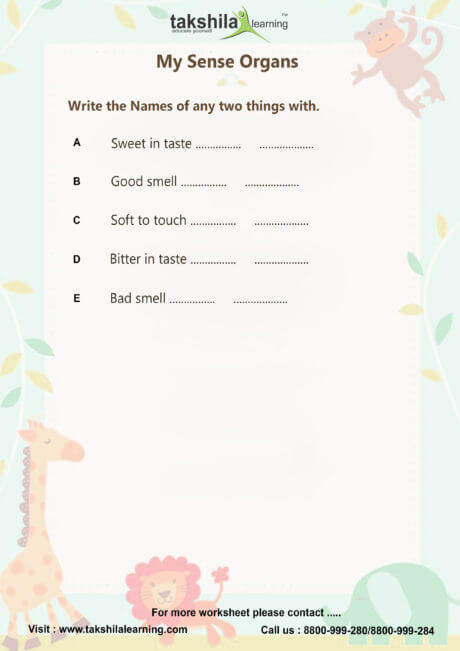 Worksheets For Class 1 Evs Ncert & Cbse