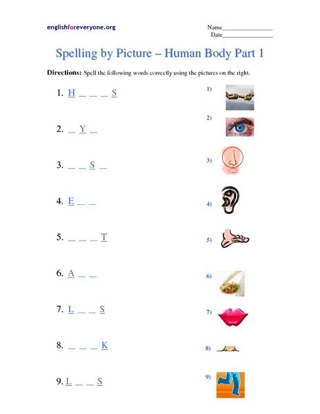 Worksheet On Parts Of Body For Grade 1