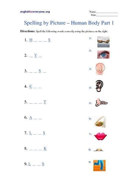 Body Parts Worksheets For Grade 1