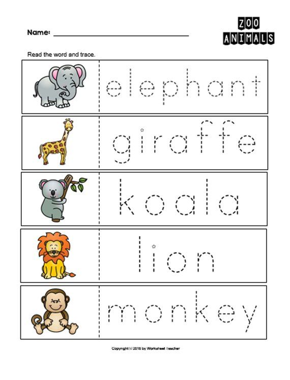 Zoo Animal Worksheets For Preschoolers