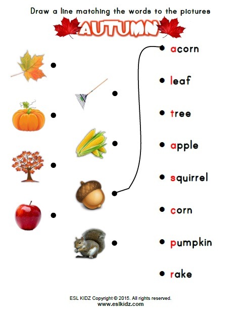 Fall