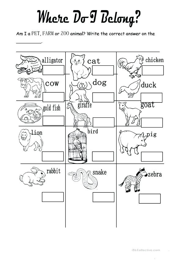 Zoo Worksheets For Preschoolers