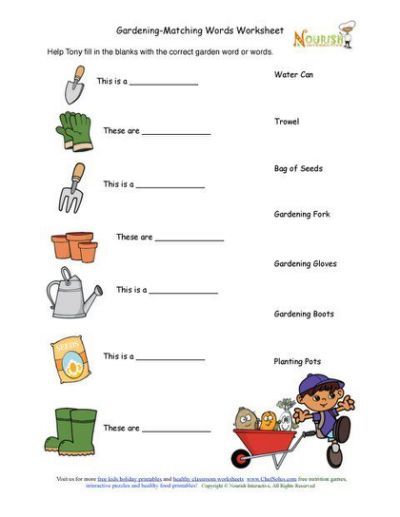 Free Printable Plant Worksheets