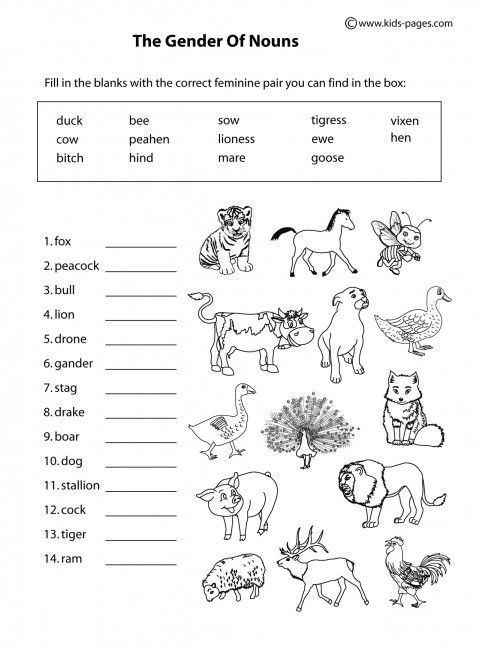 Animals Gender B&w Worksheets