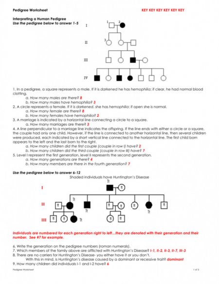 Pedigree Worksheet Interpreting A Human Pedigree