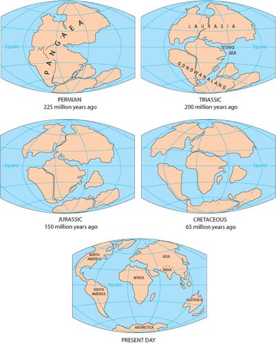Earth Science  Pangaea, Fifth Grade Reading Passage