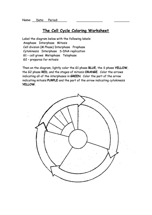 The Cell Cycle Coloring Worksheet Page 2 Of 2 In Pdf | Free Worksheets ...
