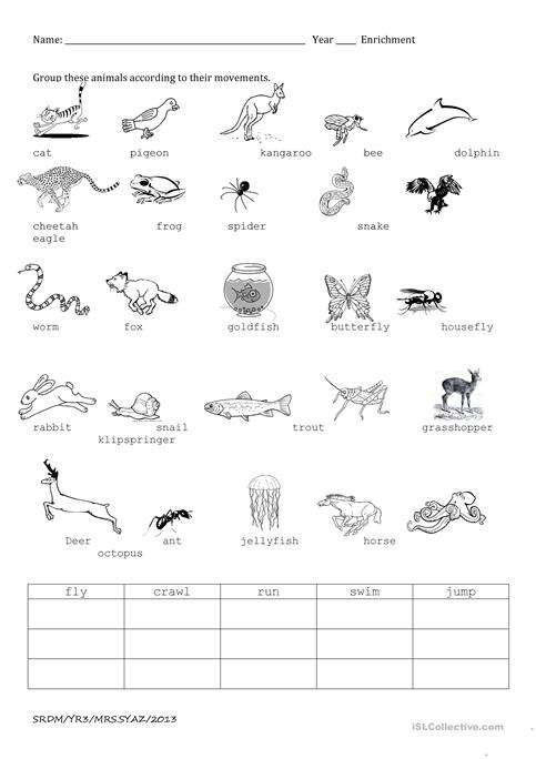 Animals And Their Movements Worksheets