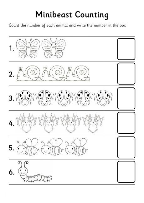 Bugs Count Number Worksheet