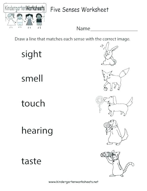 Plant Worksheets Grade Parts Of A Plant Worksheet For First