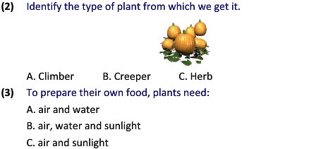 Grade 2 Evs Types Of Plants Worksheets, Test Papers, Practice