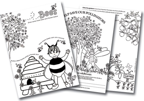 A Fun Way For Kids To Learn About Our Amazing Pollinators