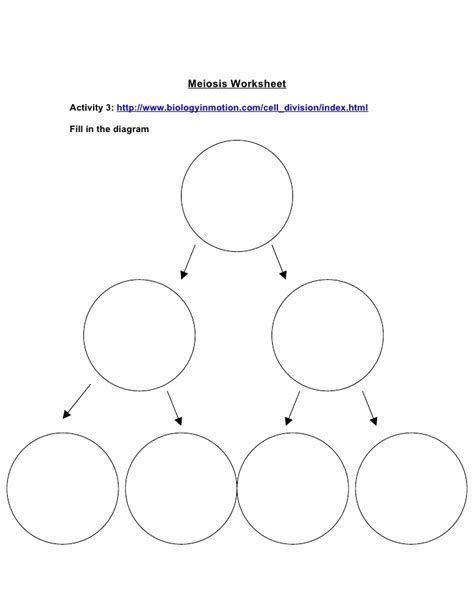 Image Result For Meiosis And Mitosis Worksheet Diagram