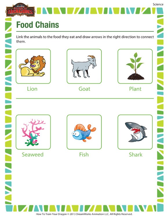 Food Chains â Printable 2nd Grade Science Worksheet