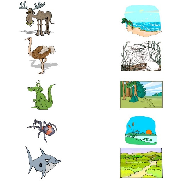 Free Printable Animal Habitat Worksheet (5)