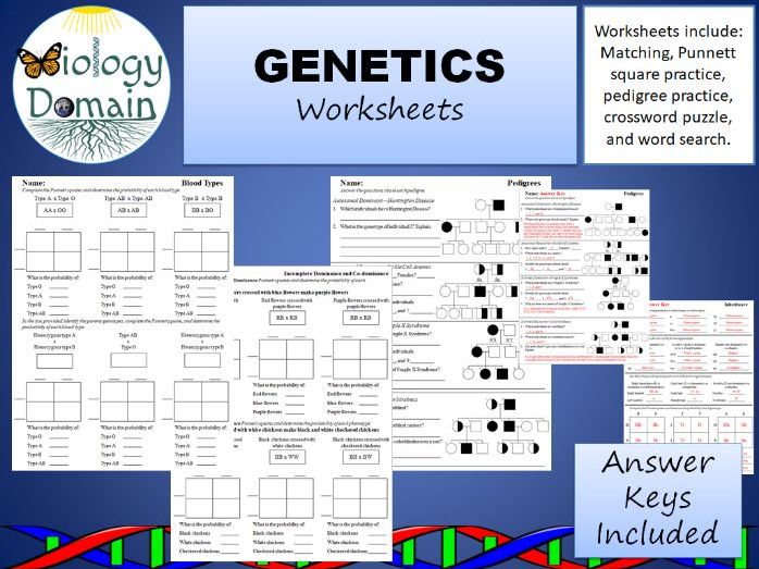 Genetics And Inheritance Worksheets By Biologydomain
