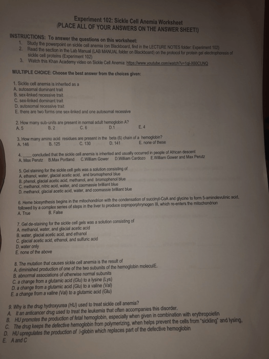 Solved  Experiment 102  Sickle Cell Anemia Worksheet Place