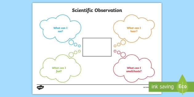 Scientific Observations Worksheet   Worksheet