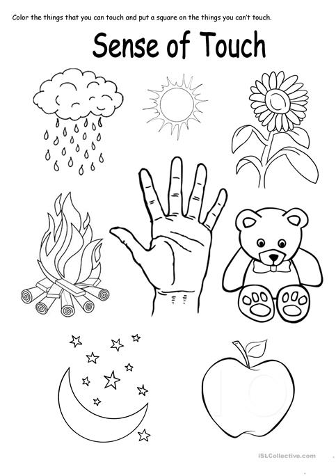 Sense Of Touch Worksheet Worksheets For All