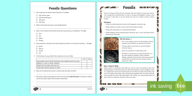 Fossils Reading Comprehension Year 3