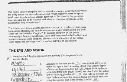 Worksheet Labeling Waves Answer Sheet â Livinghealthybulletin