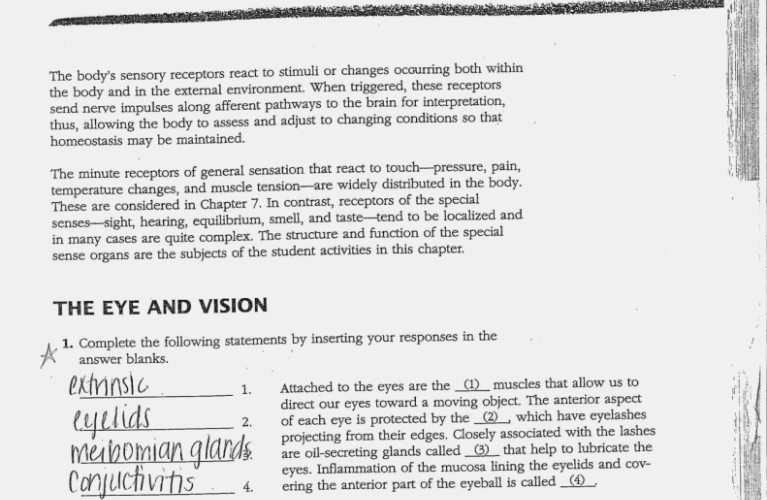 Worksheet Labeling Waves Answer Sheet â Livinghealthybulletin