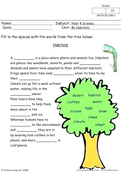 Year 4 Science Worksheets Habitats Worksheet Grade Primary 6