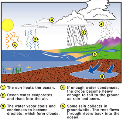 6th Grade The Water Cycle!