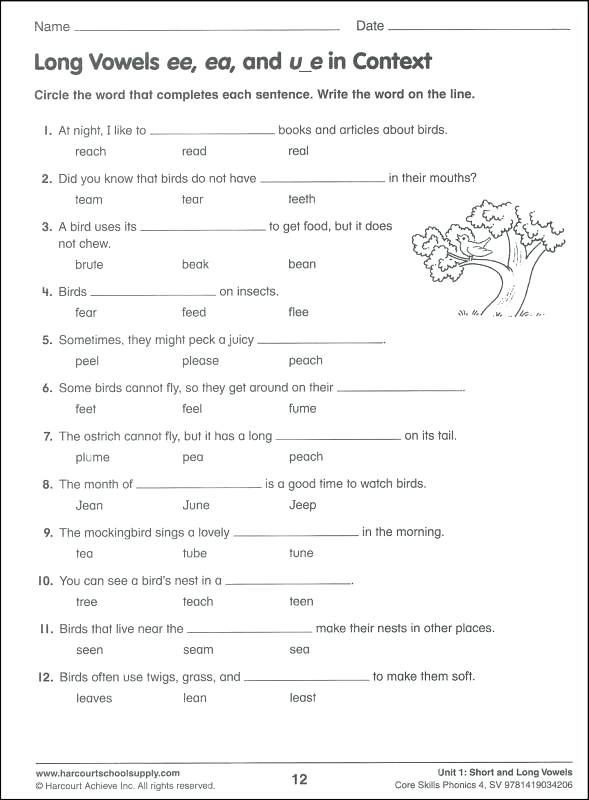 4th Grade Phonics Worksheets Free Download Free Worksheet Daily