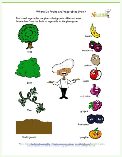 Kids Printable Learning About How Food Grows Free Gardening
