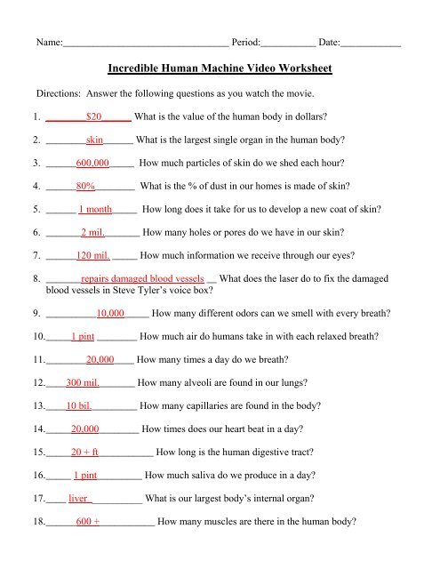 The Incredible Human Machine Worksheets Answers