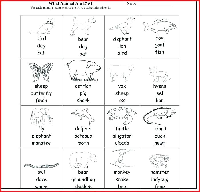 Magnets Worksheets For 1st Grade First Grade Sight Words Worksheet Magnets Worksheets For 1st Grade First Grade Sight Words Worksheet