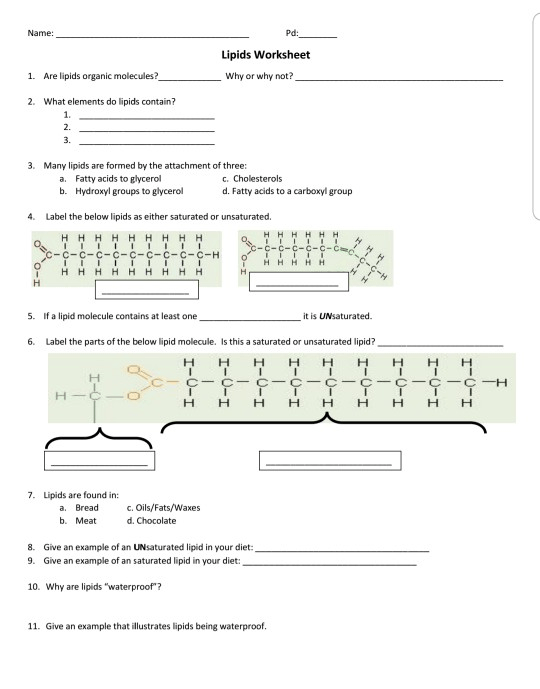 Solved  Name  Pd  Lipids Worksheet 1  Are Lipids Organic M