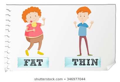 Opposite Fat Thin Images, Stock Photos & Vectors